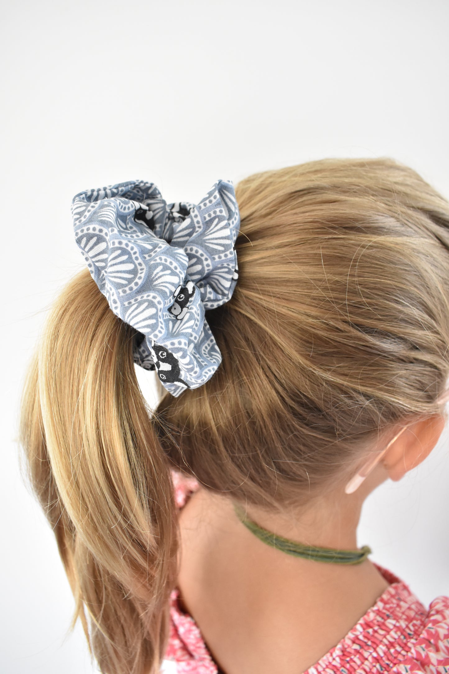 Bulldog gris chouchou