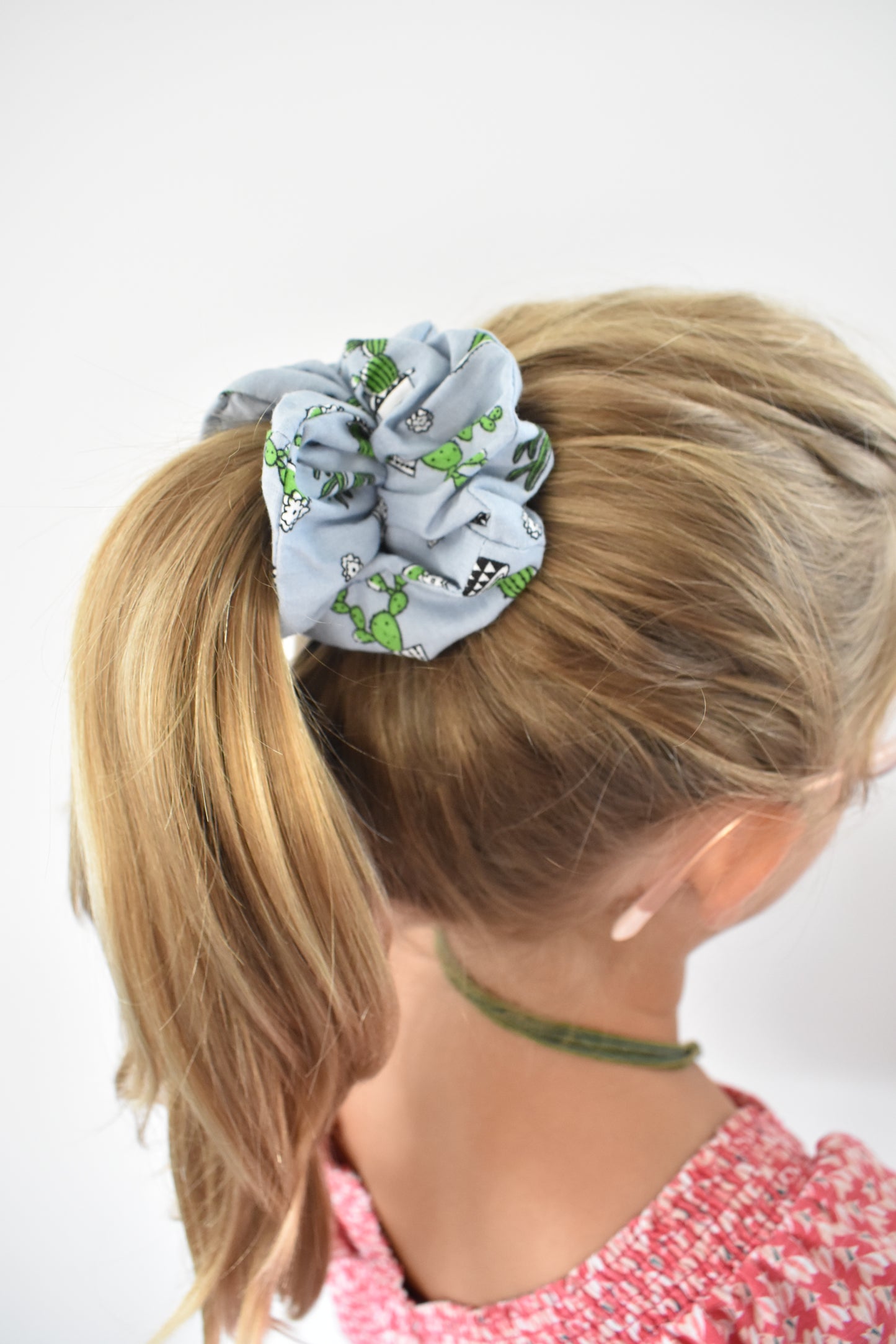 Cactus gris chouchou
