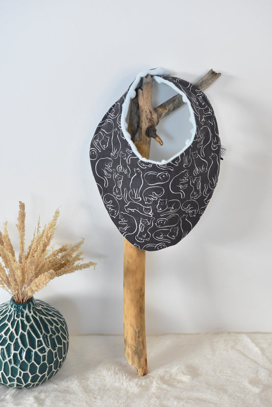 Chatons bandana